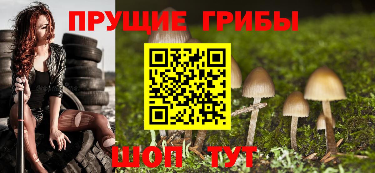 Псилоцибиновые грибы Magic Shrooms  Псилоцибиновые грибы Magic Shrooms  Черногорск  Вход с VPN 