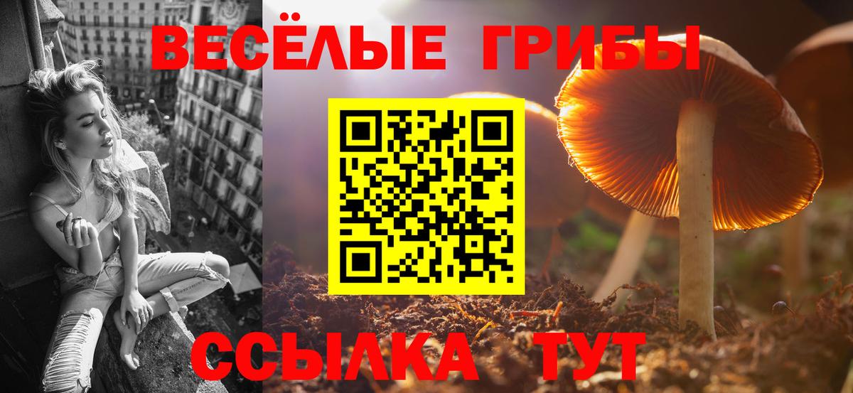 Псилоцибиновые грибы ЛСД Черногорск