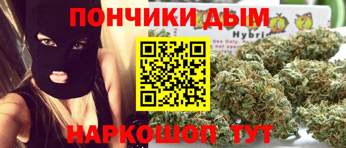 Бошки марихуана гибрид  Шишки марихуана тримм  Вход с VPN  Каннабис Bruce Banner  Черногорск 